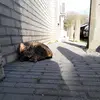 daniellevisser119 - @daniellevisser119 - TikTok