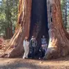 daniellewalker578 - @danielle.walker934 - TikTok