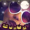 Danielle Warner - @daniellewarner1 - TikTok