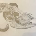 Danielle Way - @dw._.97 - Instagram