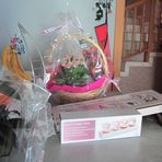 Danielle Wendling - Facebook