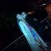 Danielle Weyer - Facebook