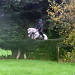 Danielle Wheatley - @wheatley_eventing - Instagram