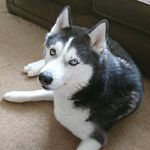 Danielle Wheatley - @danielle.wheatley.90 - Instagram
