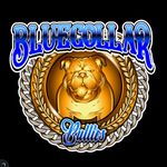 Danielle Wicker - @bluecollar_bullies_ - Instagram