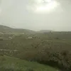 דניאל וידר - @daniellewieder - TikTok