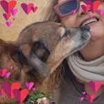 דניאל ויזנטל - @danielle_wiesenthal - Instagram