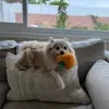 Danielle Waisner - @daniellewaisner - TikTok