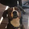 Danielle Wilding - @daniellewilding - TikTok