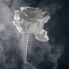 Danielle Wirth - @danielle.wirth - TikTok