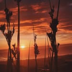 Danielle wishart Photography - @daniellewishart_photography - Instagram