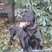 Danielle Wightman - Facebook