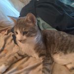 Karina Danielle Wolcott - @cookie_wolf4895 - Instagram