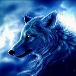 karina danielle wolcott - @starwolf7309 - Instagram