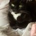 Danielle Weimer - Facebook