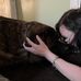 Danielle Dion - Facebook