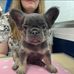 Danielle Wright - Facebook