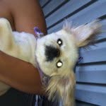 @daniellewunderful123 - Instagram