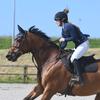 daniellewynnequestrian - @daniellewynnequestrian - TikTok