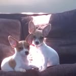 danielle yale - @diy2007 - Instagram