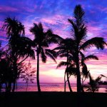 Danielle Yoder - @sunkissedphotos808 - Instagram