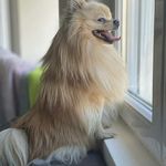 Danijela Perkovic - @danijelaperkovic7 - Instagram