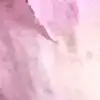 d.anikajames - @danika_james - TikTok