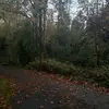 Danika - @danika_rose_ - TikTok