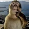 danika - @danikarose15 - TikTok