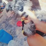 Danika Abigail Torres - @danikaabigail - Instagram