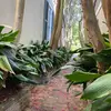 Danilo Alvarez - @daniloo09301977 - TikTok