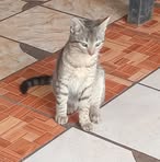Oscar Danilo Tabin Ambrocio - Facebook