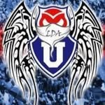 Danilo Castillo - @kanguroazul - Instagram