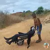 Danilo Costa - @danilocosta674 - TikTok