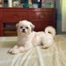 Danilo Domingo - Facebook