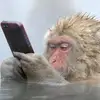 daniloespiritu08 - @daniloespiritu08 - TikTok