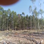 Danilo Garay - @danilo.garay.5494 - Instagram