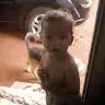 Danilo Geronimo - @danilogeronimo1 - TikTok
