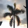 Danilo Geronimo - @danilo.geronimo7 - TikTok