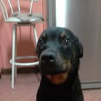 Danilo Guarin - Facebook