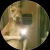 Danilo Guzman - @danilo.guzman38 - TikTok