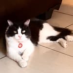 Danilo Henríquez Cubillos - @danilo_henriquez_cubillos - Instagram