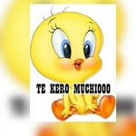 jose lopez - @danilo__hernandez - Instagram