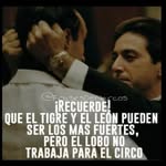 Danilo Hidalgo - @danilo.hidalgo.j - Instagram