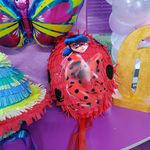 Danilo Danijela Ilic - @pinjate_kaca - Instagram