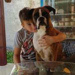Danilo Ilić - @daniloi_2009_ - Instagram