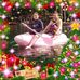 Danilo Isidro - Facebook