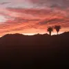 Danilo Jorge - @danilo.jorge2 - TikTok