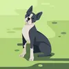 Danilo Jorge - @danilo.jorge060 - TikTok