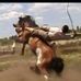 Danilo Lucero - Facebook